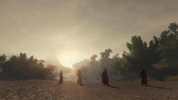 养乌龟只养一只，它觉得会孤独吗？